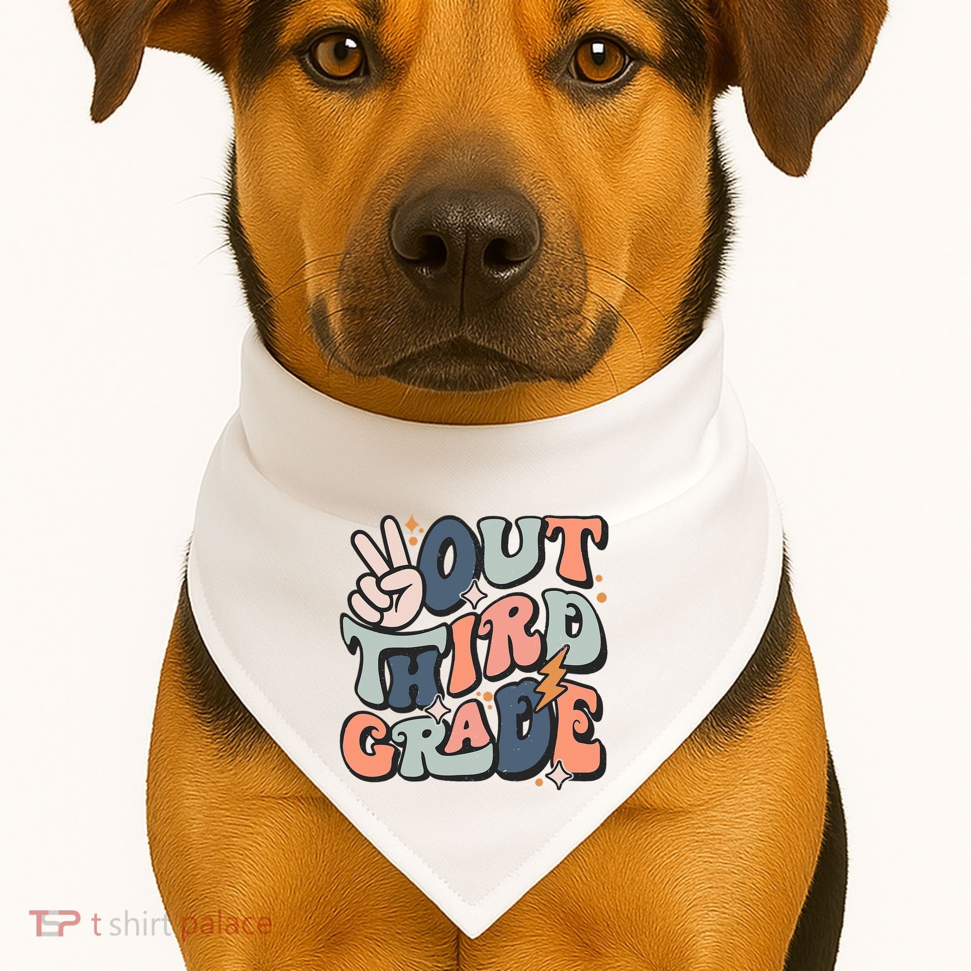 Groovy Last Day Of School 3rd Grade Peace Out Third Grade USA-Made Doggie Bandana