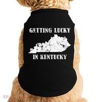 Getting Lucky In Kentucky Distressed Kentucky Doggie Tank thumb 0