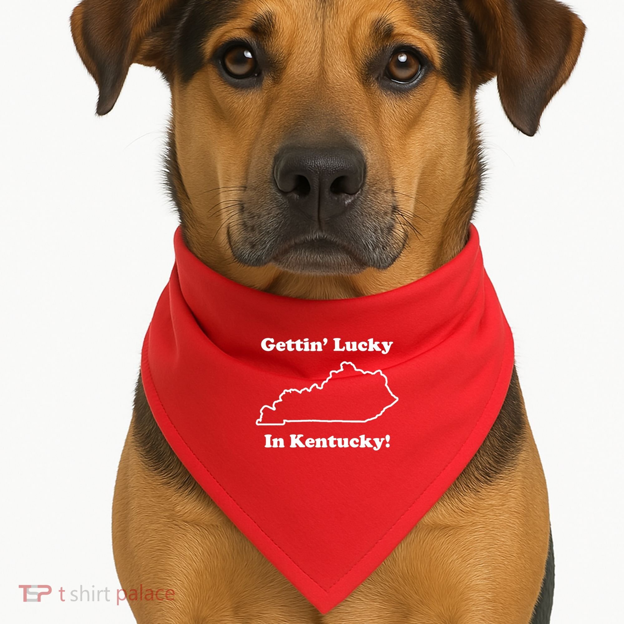 Getting Lucky In Kentucky USA-Made Doggie Bandana