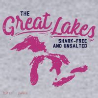 Great Lakes Shark Free And Unsalted Summer Vacation Funny Gift Women's Sweatshirt thumb 2