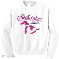 Great Lakes Shark Free And Unsalted Summer Vacation Funny Gift Kids Sweatshirt thumb 0