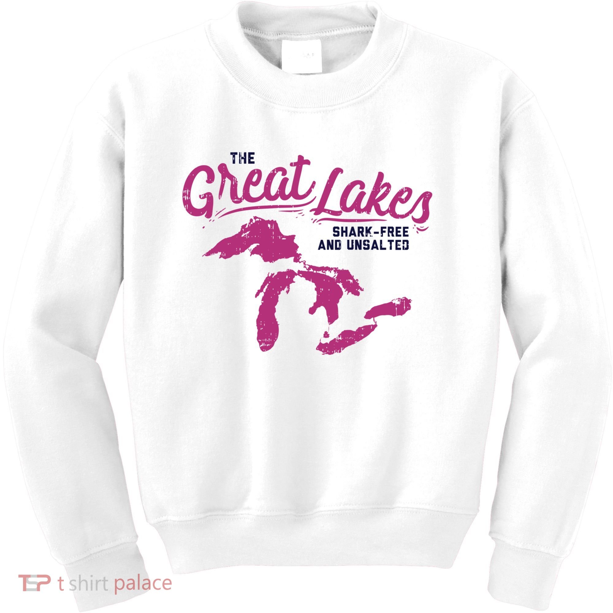 Great Lakes Shark Free And Unsalted Summer Vacation Funny Gift Kids Sweatshirt