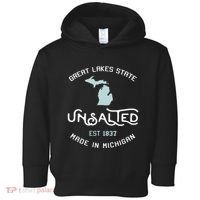 Great Lakes State Unsalted Est 1837 Made In Michigan Toddler Hoodie thumb 0