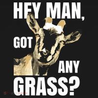 Goat Lovers Shirts Farm Animal Pun Pets Meme Funny Goat Ornament thumb 1