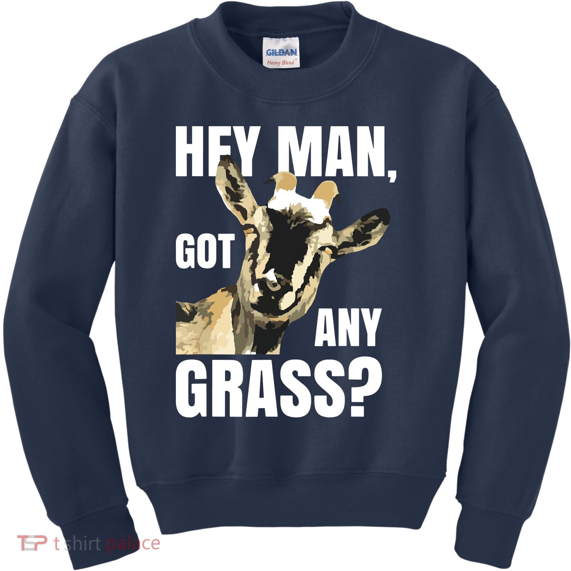 Goat Lovers Shirts Farm Animal Pun Pets Meme Funny Goat Kids Sweatshirt