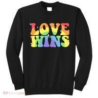 Groovy Love Wins Rainbow Pride Flag Colors LGBT Queer Ally Sweatshirt thumb 0