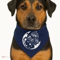Goblincore Moon Aesthetic Dark Academia Mushroom USA-Made Doggie Bandana thumb 1