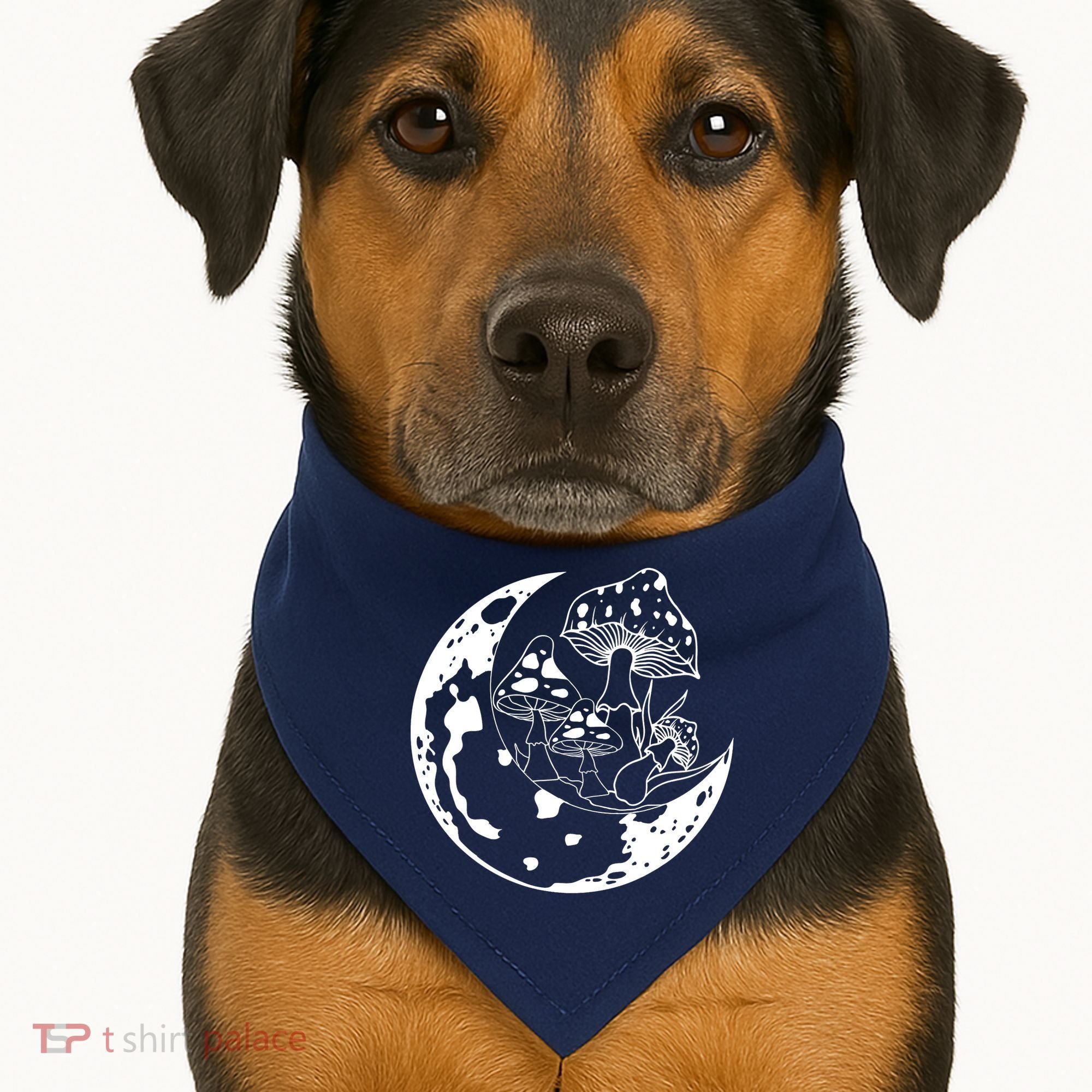 Goblincore Moon Aesthetic Dark Academia Mushroom USA-Made Doggie Bandana