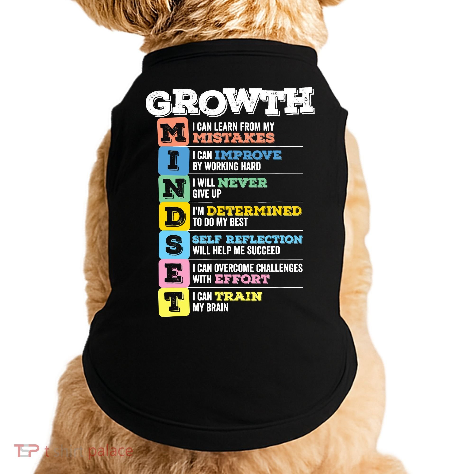 Growth Mindset Classroom Brain Motivation Entrepreneur Doggie Tank