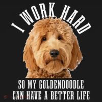 Goldendoodle Mom Doodle Dog Dad Funny Golden Doodle Women's Hoodie thumb 2