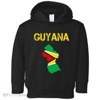 Guyana Map Flag Of Guyana Toddler Hoodie thumb 0