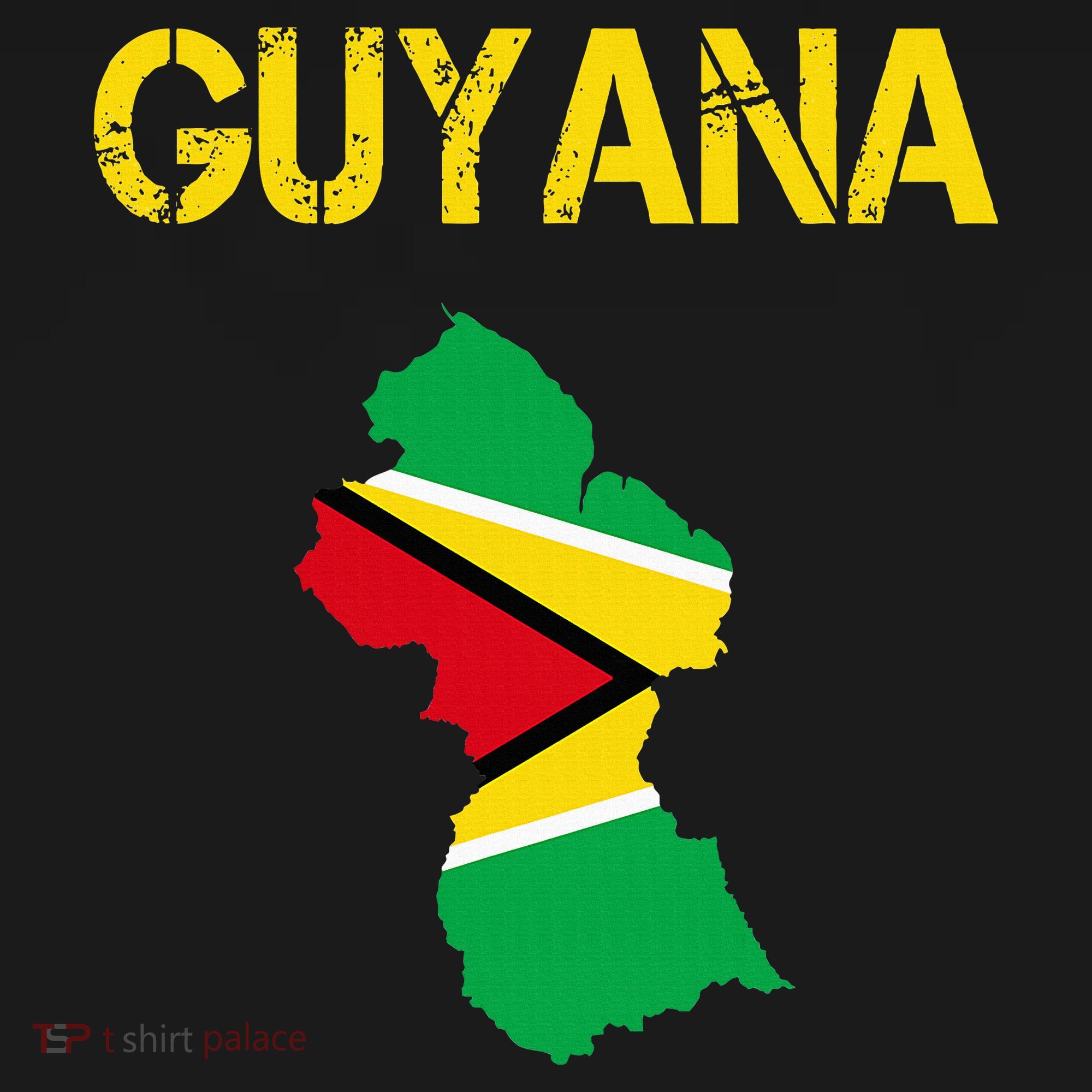 Guyana Map Flag Of Guyana Toddler Hoodie
