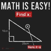 Geometry Math Is Easy Find X Here It Is Triangle Hat thumb 2