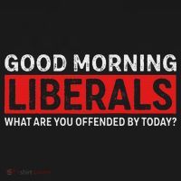 Good Morning Liberals What Are You Offended By Today USA-Made Doggie Bandana thumb 2