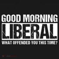 Good Morning Liberal What Offended You This Time? Anti Liberal Women's Hoodie thumb 2