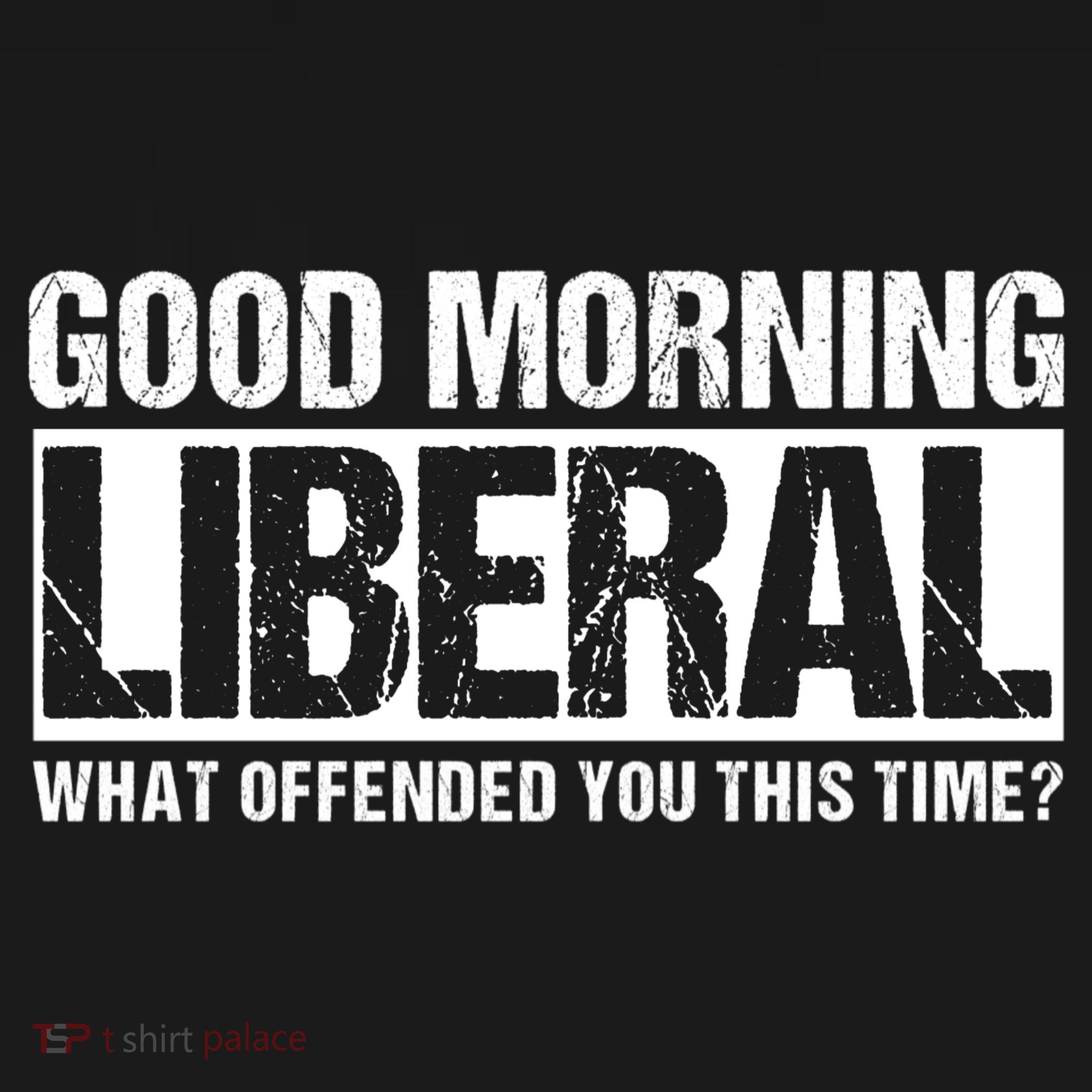 Good Morning Liberal What Offended You This Time? Anti Liberal Women's Hoodie