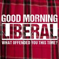 Good Morning Liberal What Offended You This Time? Anti Liberal Men's Flannel Plaid Pajama Pants thumb 2