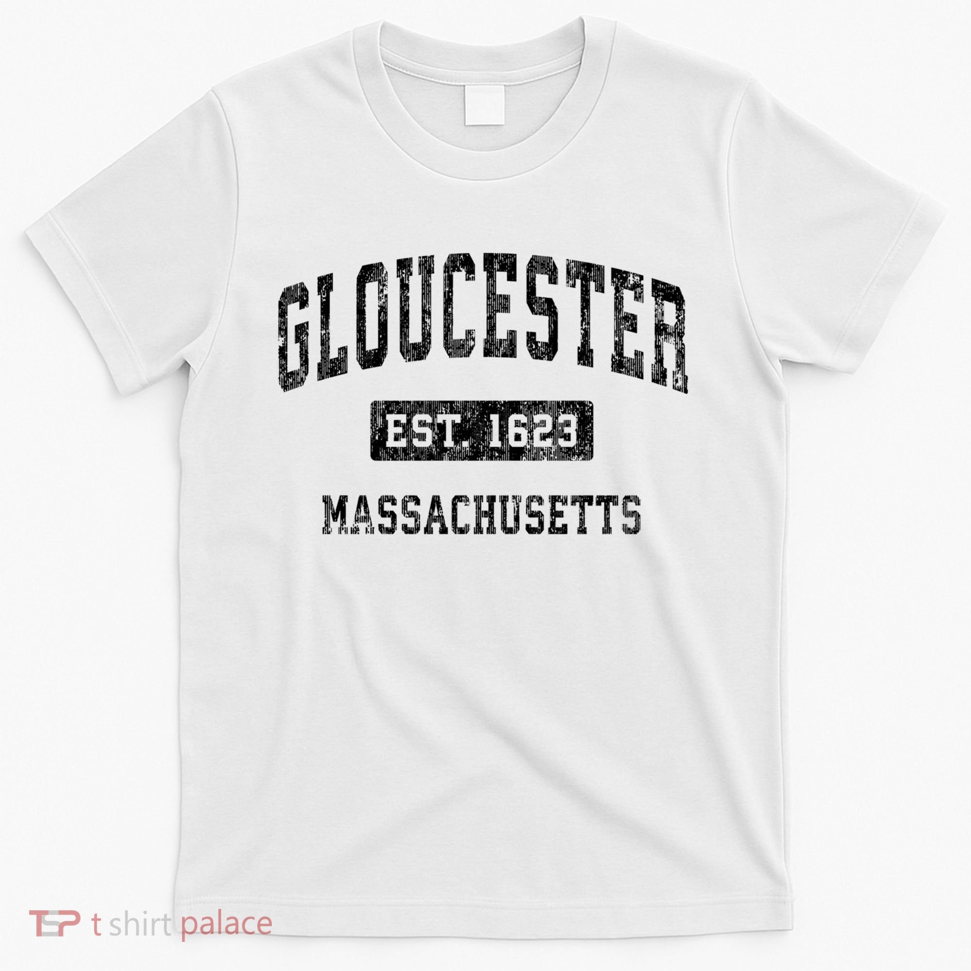 Gloucester Massachusetts Ma Vintage Established Sports T-Shirt