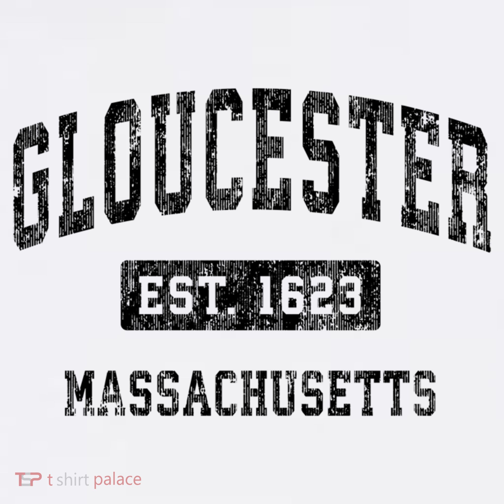 Gloucester Massachusetts Ma Vintage Established Sports T-Shirt