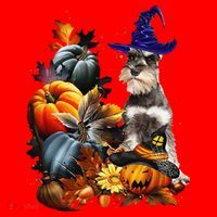 Grey Miniature Schnauzer Witch Hat Spooky Pumpkin Halloween Santa Hat thumb 1