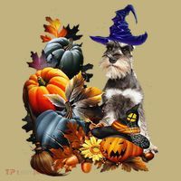 Grey Miniature Schnauzer Witch Hat Spooky Pumpkin Halloween Sweatshirt thumb 2