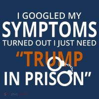 Googled My Symptoms Need Trump In Prison Hoodie thumb 7