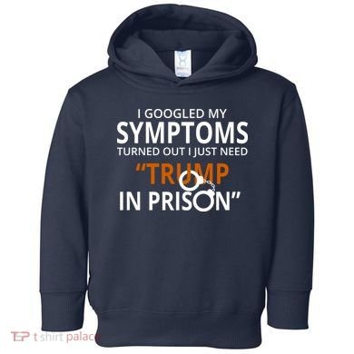 Googled My Symptoms Need Trump In Prison Toddler Hoodie