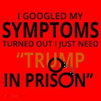Googled My Symptoms Need Trump In Prison Santa Hat thumb 1