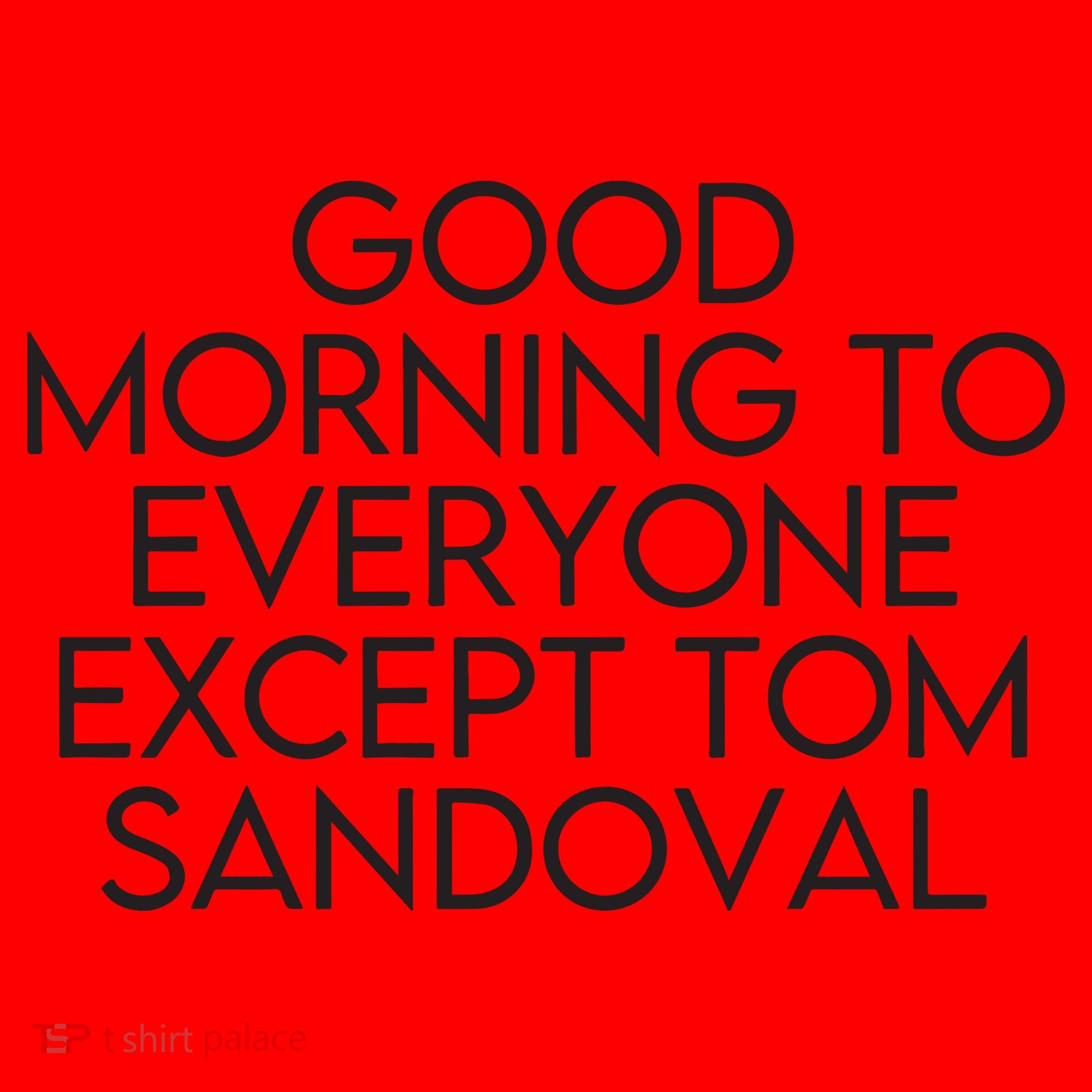 Good Morning To Everyone Except Tom Sandoval Vanderpump Rules Drama Ariana Madix Santa Hat