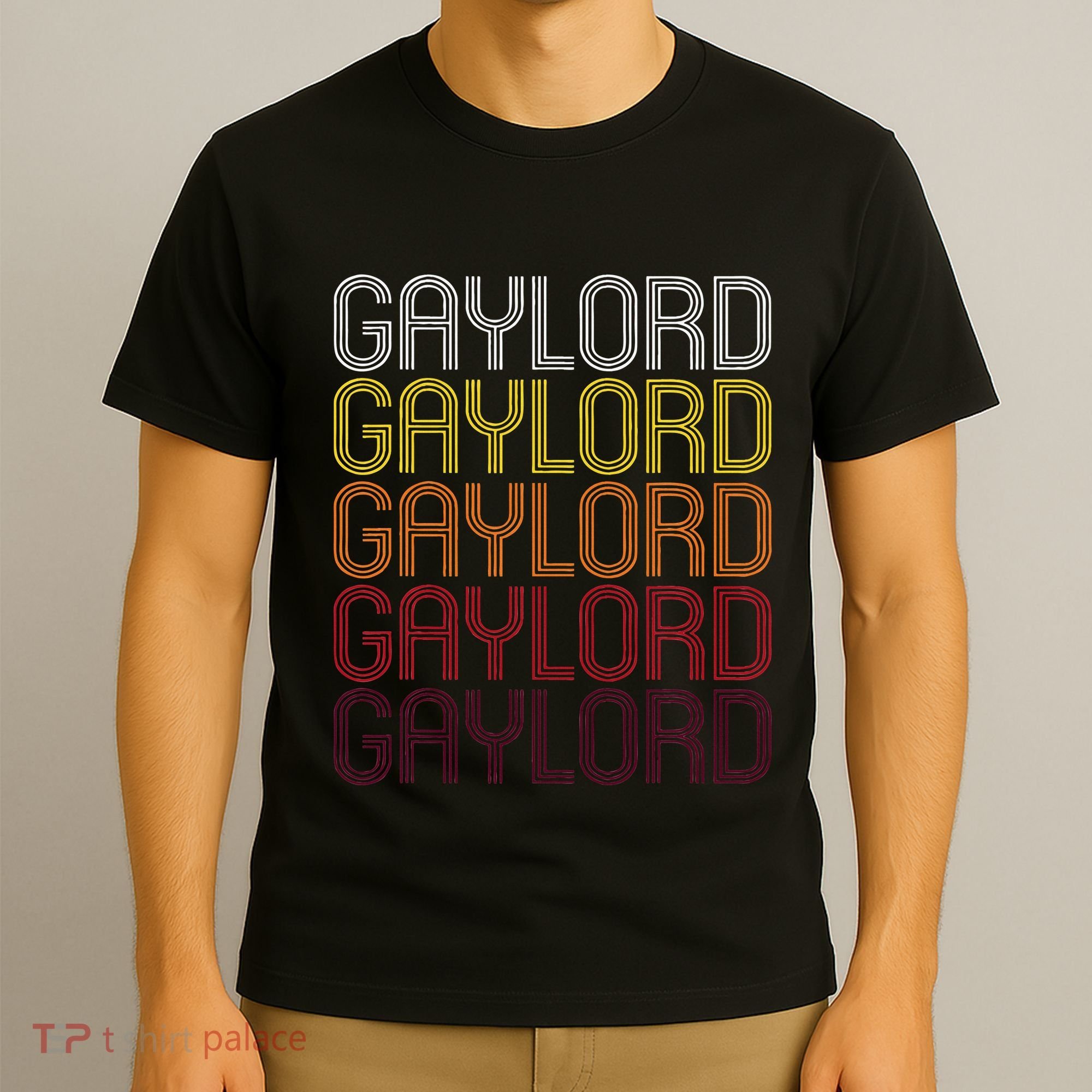 Gaylord Mn Vintage Style Minnesota T-Shirt