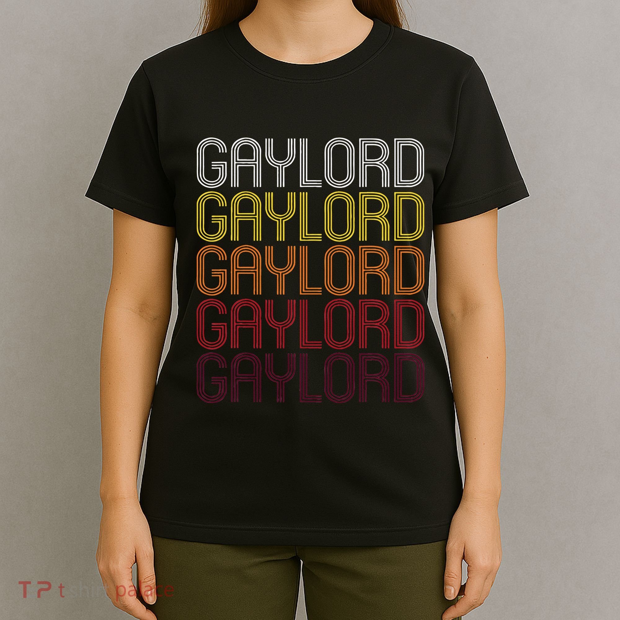 Gaylord Mn Vintage Style Minnesota T-Shirt