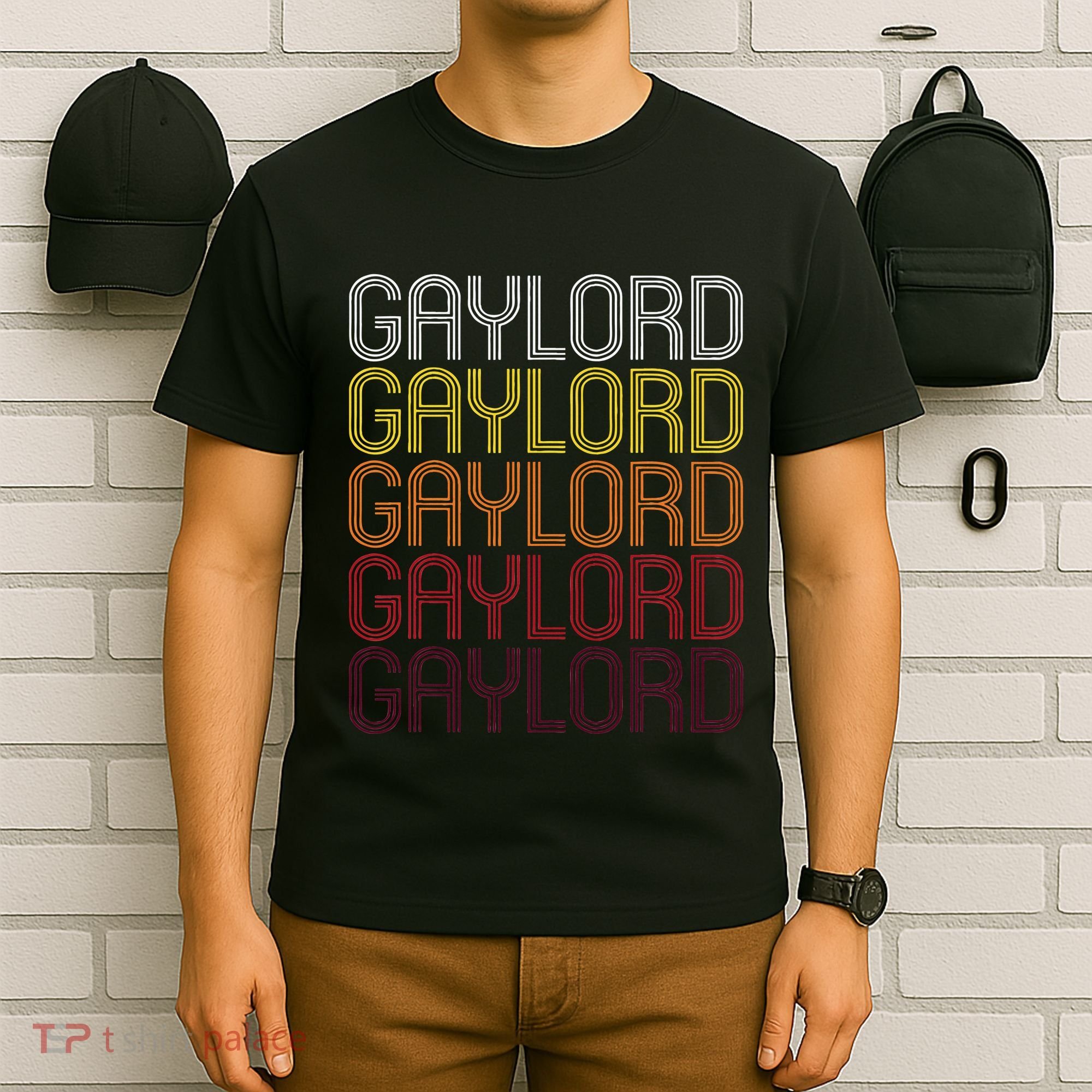 Gaylord Mn Vintage Style Minnesota T-Shirt