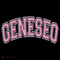 Geneseo Ny New York Varsity Style Pink Text Meaningful Gift Coffee Mug thumb 5