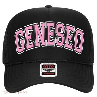Geneseo Ny New York Varsity Style Pink Text Meaningful Gift Hat
