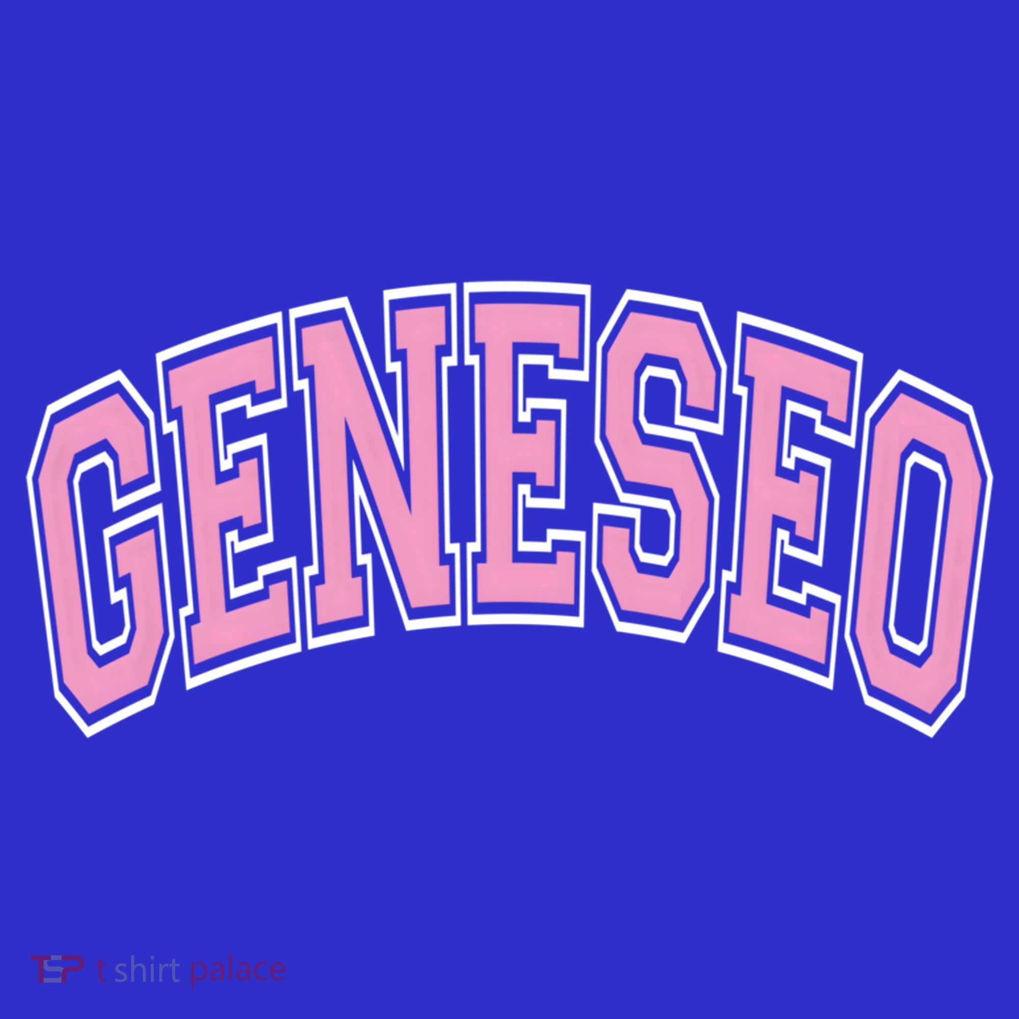 Geneseo Ny New York Varsity Style Pink Text Meaningful Gift Tumbler