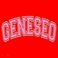 Geneseo Ny New York Varsity Style Pink Text Meaningful Gift Santa Hat thumb 1