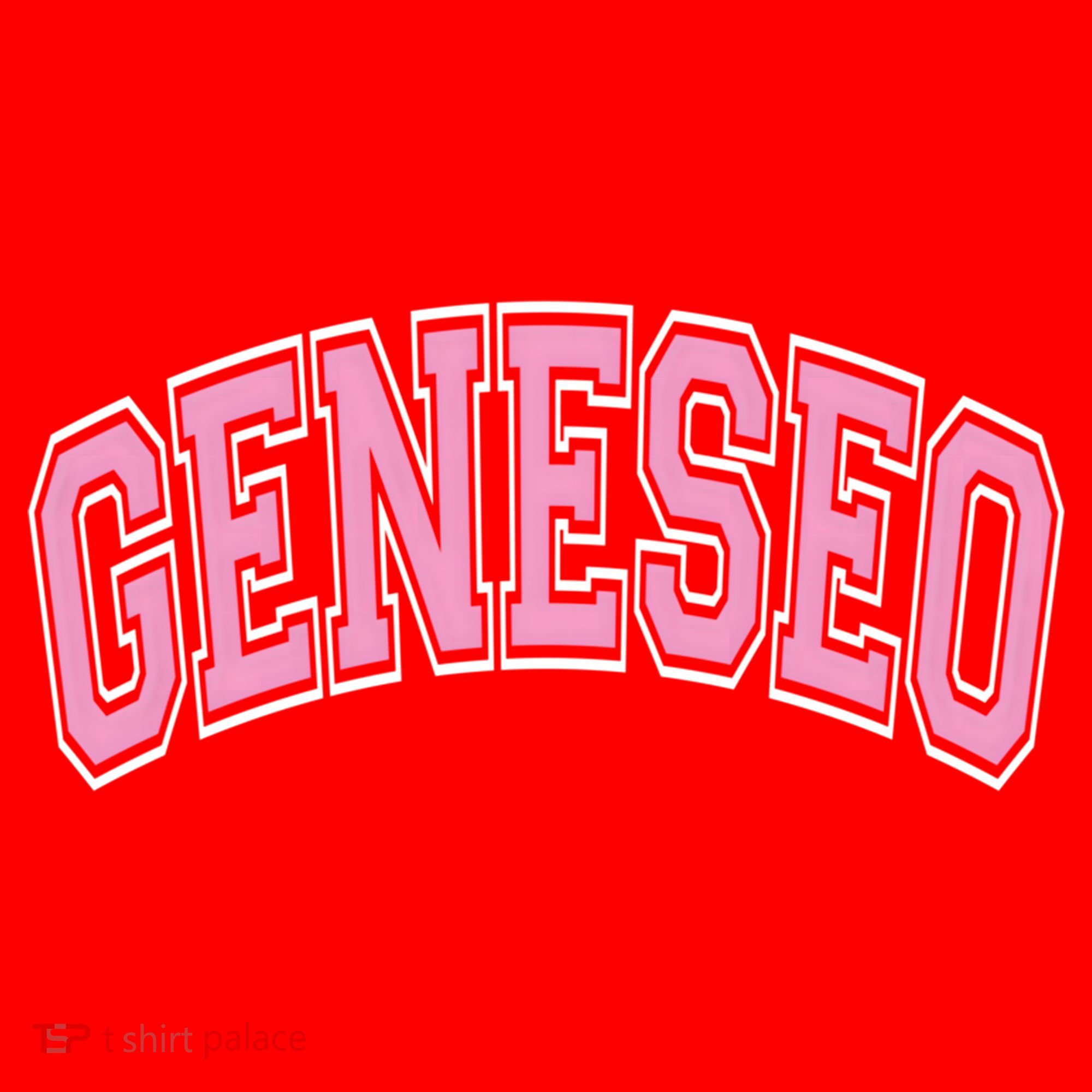 Geneseo Ny New York Varsity Style Pink Text Meaningful Gift Santa Hat
