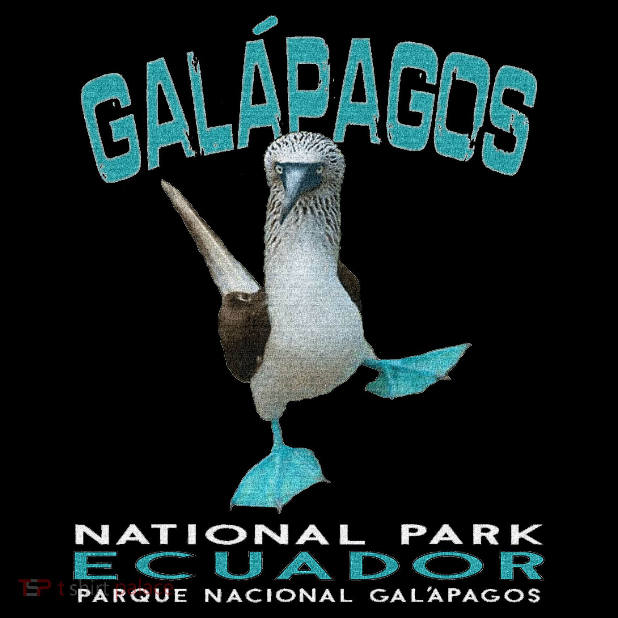 Galapagos National Park Ecuador Blue Footed Boobies Keepsake Women's Hoodie