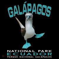 Galapagos National Park Ecuador Blue Footed Boobies Keepsake Women's T-Shirt thumb 6