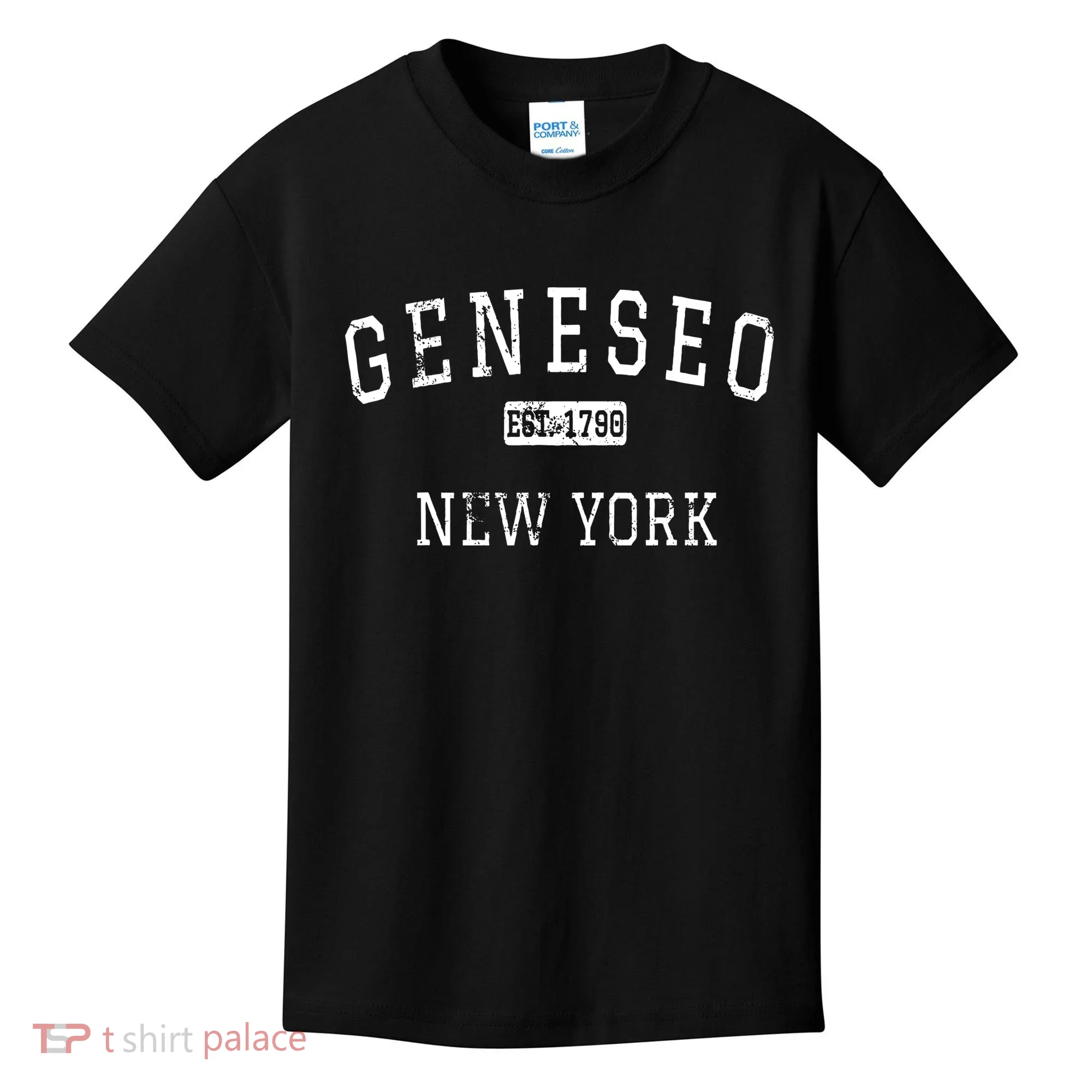 Geneseo NY Vintage Kids T-Shirt