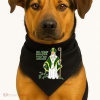 Go Home Snakes Your Drunk St Patrick's USA-Made Doggie Bandana thumb 1
