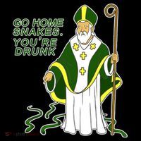 Go Home Snakes Your Drunk St Patrick's Apron thumb 3