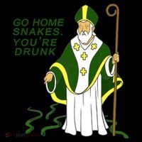 Go Home Snakes Your Drunk St Patrick's Coffee Mug thumb 5