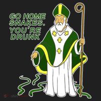 Go Home Snakes Your Drunk St Patrick's Beanie thumb 2