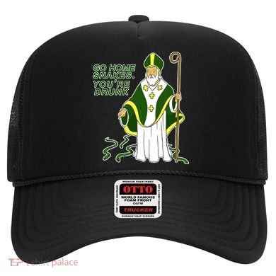 Go Home Snakes Your Drunk St Patrick's Hat