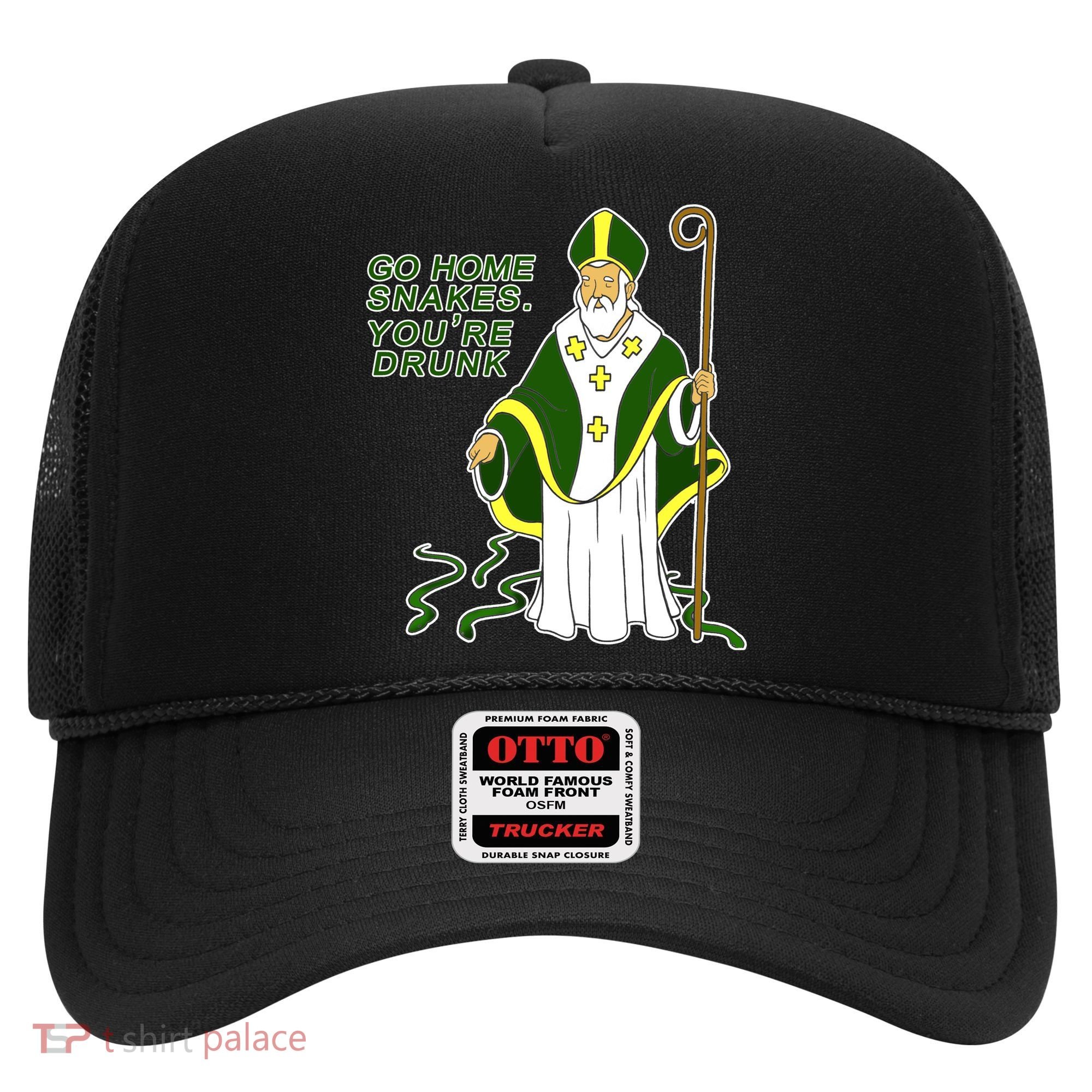 Go Home Snakes Your Drunk St Patrick's Hat