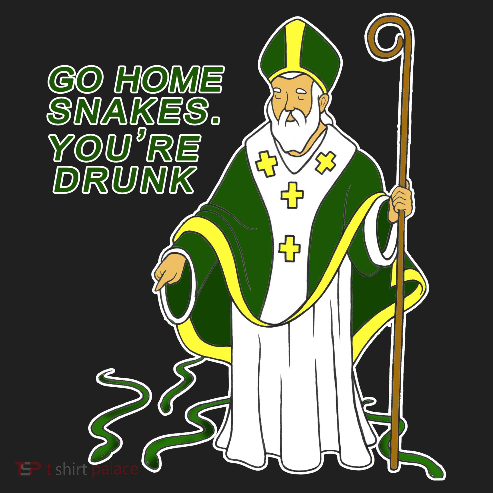 Go Home Snakes Your Drunk St Patrick's Hat