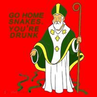 Go Home Snakes Your Drunk St Patrick's Santa Hat thumb 1