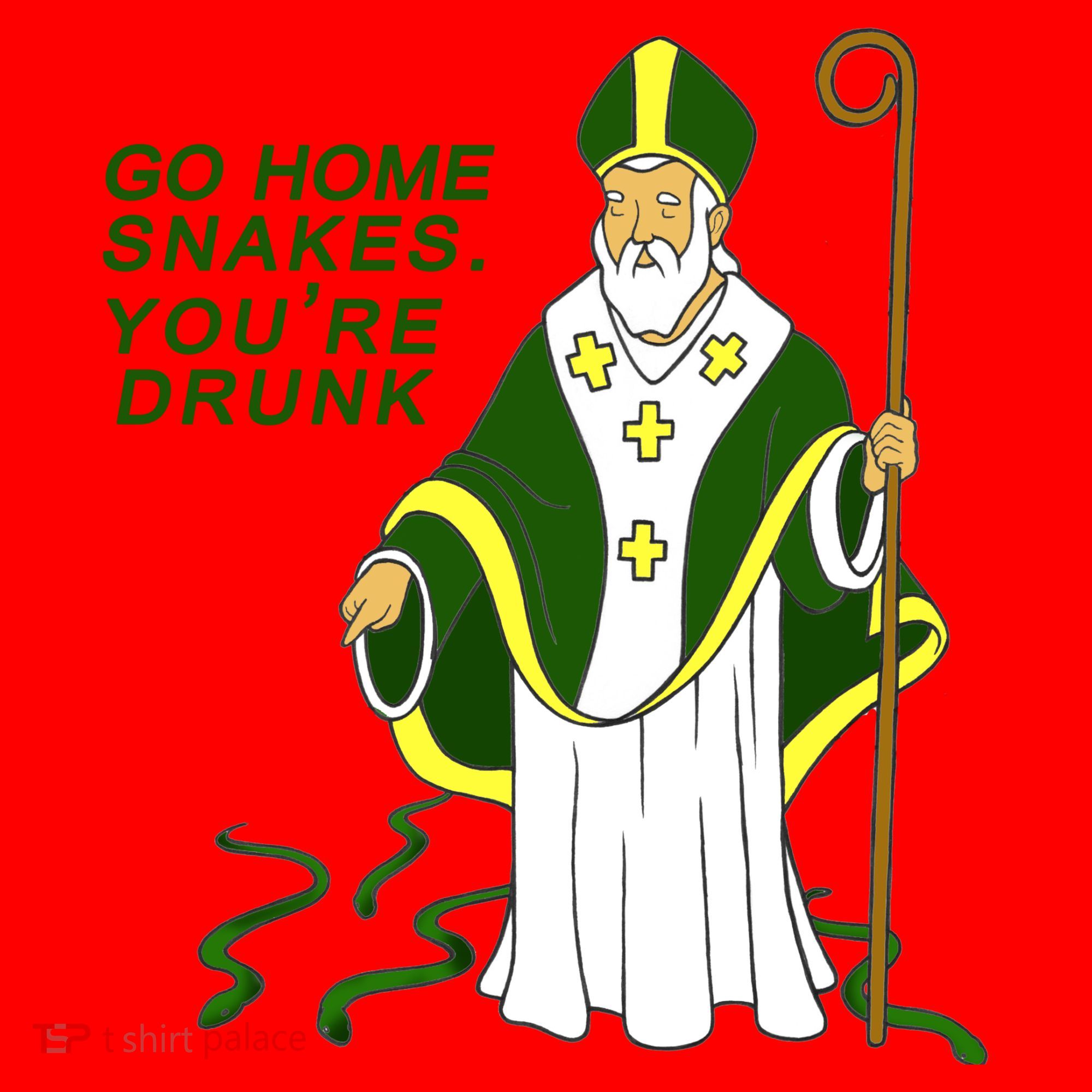 Go Home Snakes Your Drunk St Patrick's Santa Hat