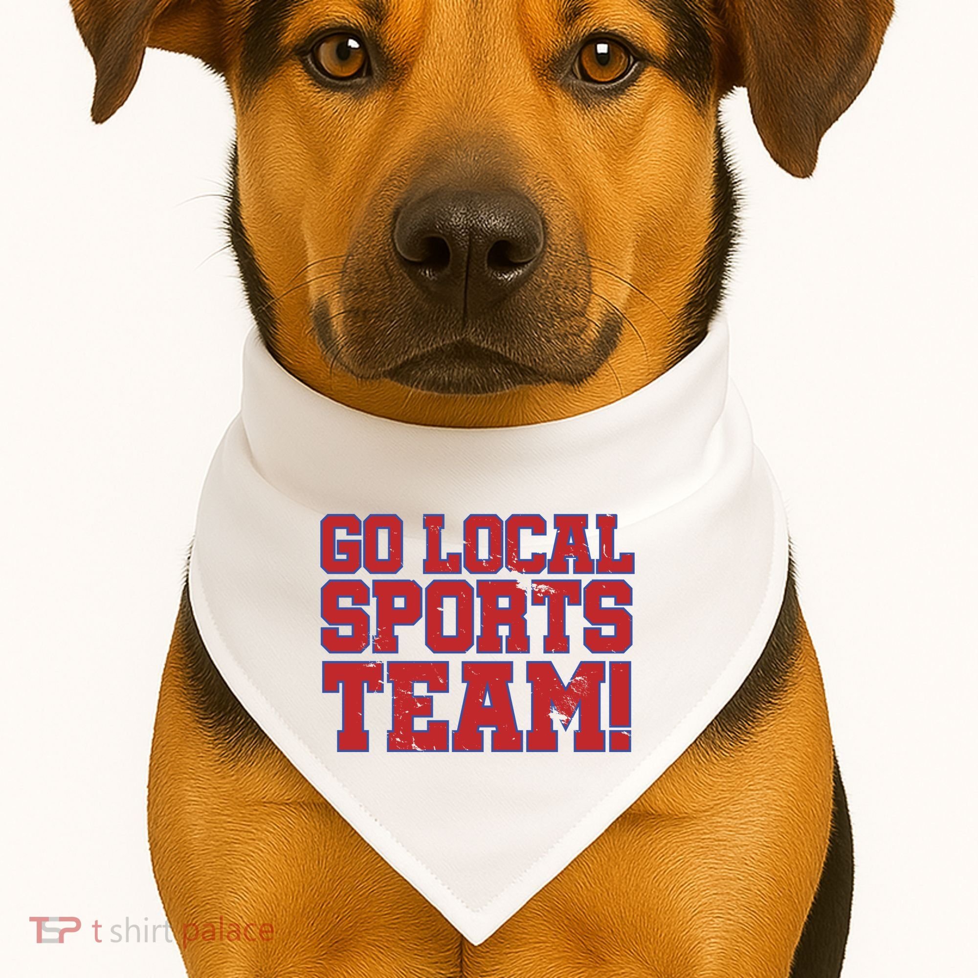 Go Local Sports Team USA-Made Doggie Bandana